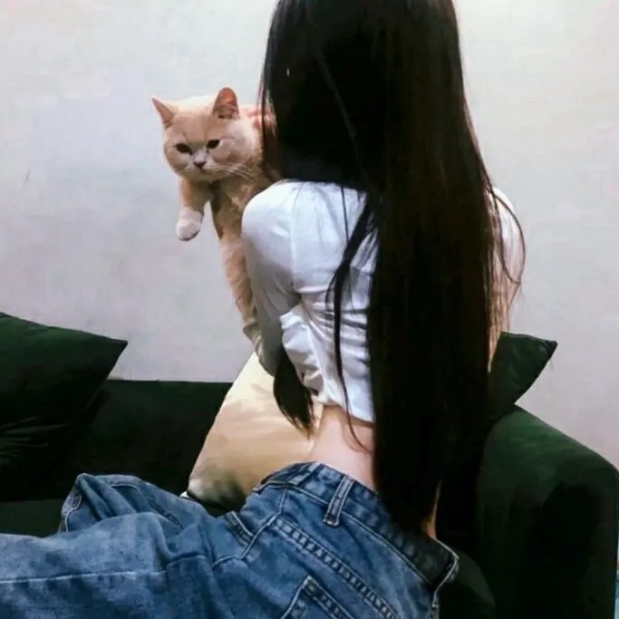 仇敌