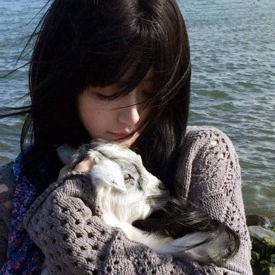 肥猪
