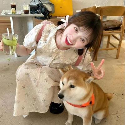 离奇伪术家